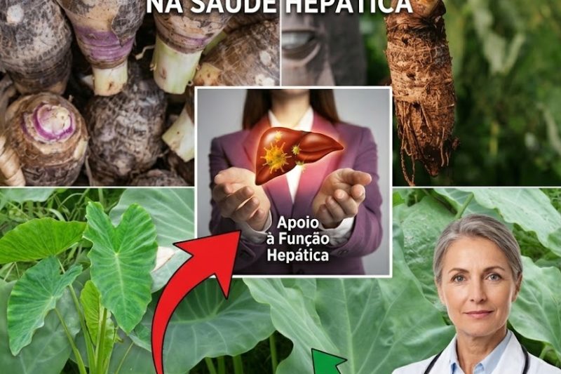 O Rei Esquecido dos Carboidratos: Por Que a Raiz de Taro é o Superalimento que Cura o Intestino e Protege o Coração