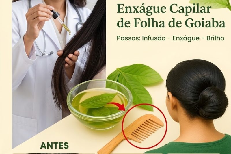 Como Usar Folhas de Goiaba para Cuidar do Cabelo e da Saúde – Um Segredo Natural Muito Útil na Época de Chuvas