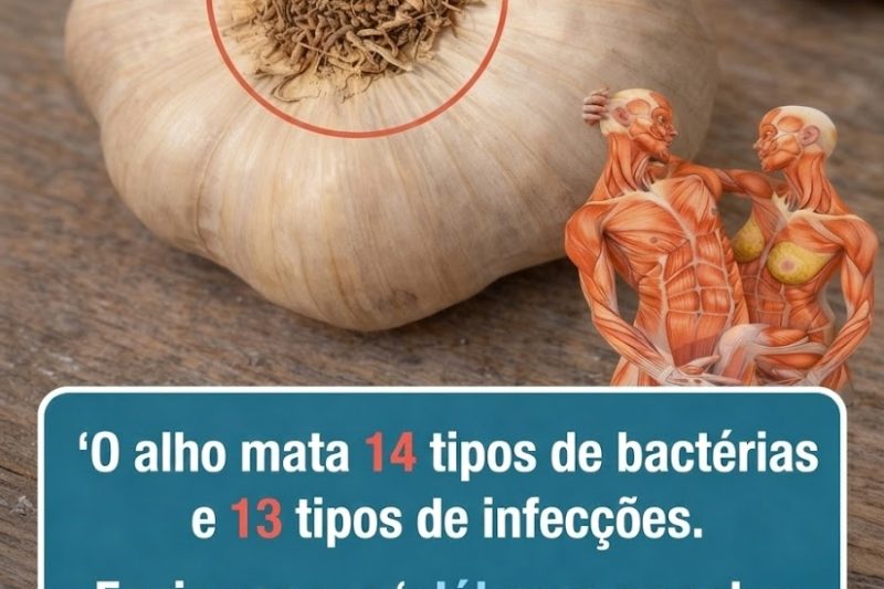 O Alho Realmente Mata 14 Tipos de Bactérias e 13 Tipos de Infecções?