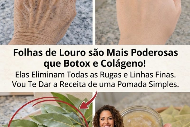 O Segredo Natural da Folha de Louro: Como Essa Especiaria do Dia a Dia Pode Apoiar o Seu Bem-Estar