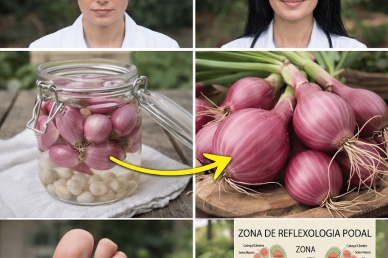 14 Maneiras Inteligentes de Usar a Cebola para Apoiar o Seu Bem-Estar no Dia a Dia