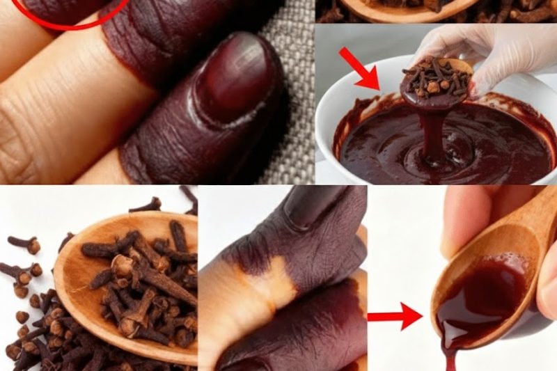 O SEGREDO INESPERADO: COMO CONSEGUIR UM MEHNDI MAIS ESCURO E PROFUNDO COM UMA SIMPLES ESPECIARIA DA COZINHA