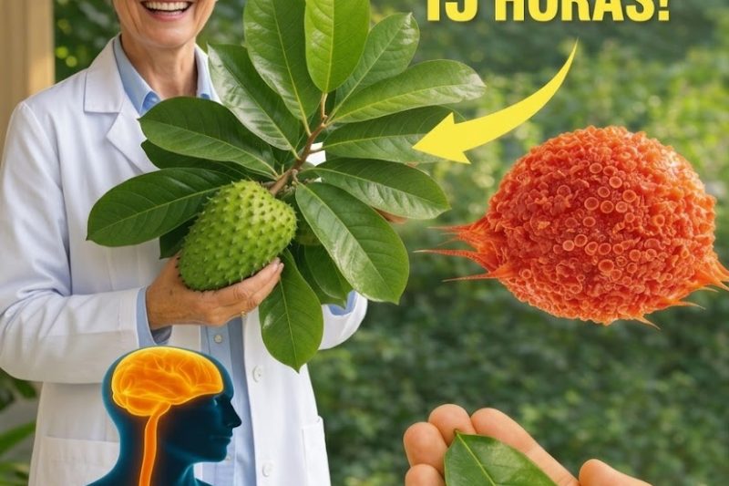 Três Folhas Ricas em Nutrientes Que Podem Apoiar as Defesas Naturais do Seu Corpo