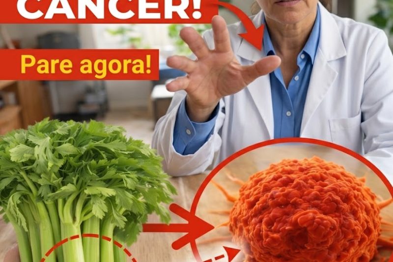 5 Alimentos do Dia a Dia que Podem Aumentar Silenciosamente o Risco de Câncer – e Substituições Inteligentes para Proteger sua Saúde