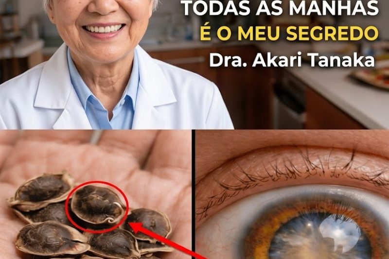 Três Sementes do Dia a Dia que Ajudam a Cuidar dos Olhos e do Cérebro com o Passar dos Anos