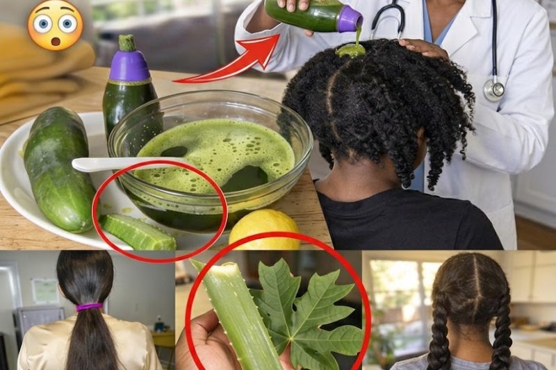 Amasse Folhas de Mamão Todas as Noites – Seu Cabelo Branco Pode Começar a Escurecer e Crescer Mais Forte? Descubra a Verdade!
