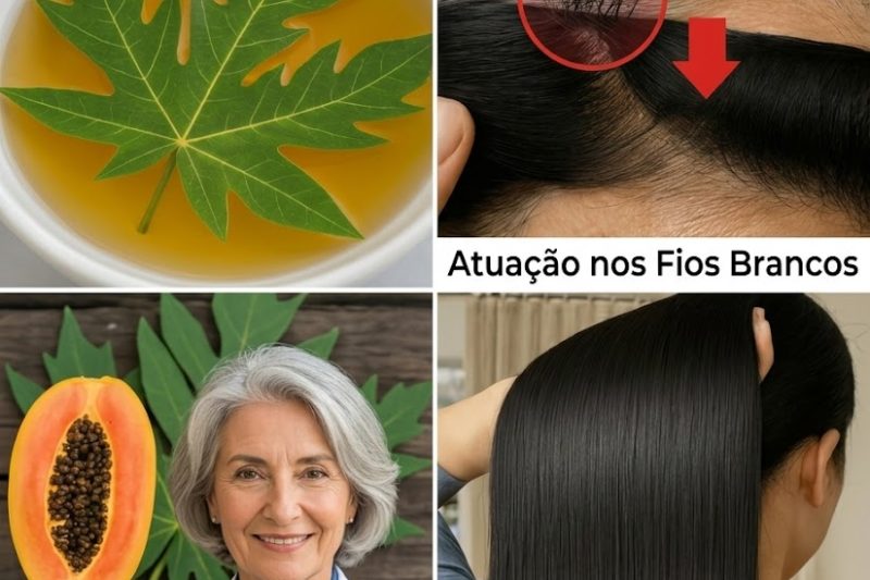 Folhas de Mamão para o Crescimento do Cabelo: Dois Métodos Naturais para Transformar Seus Fios