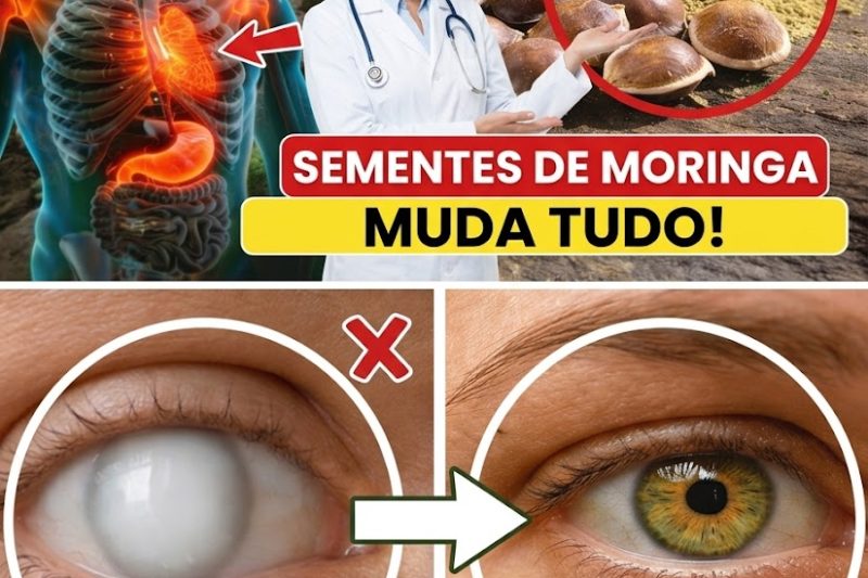 10 Maneiras Poderosas Pelas Quais as Sementes de Moringa Podem Apoiar Sua Saúde – O Tesouro Nutricional Esquecido da Natureza
