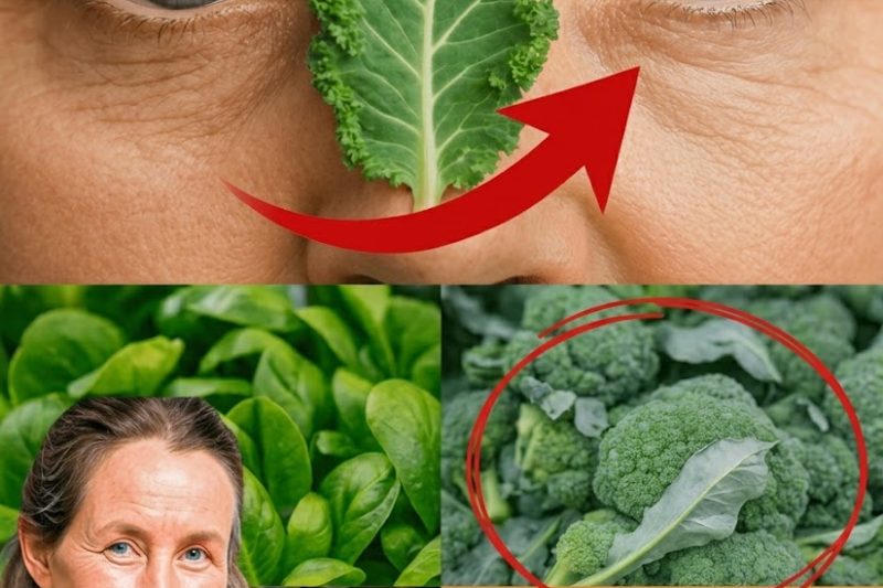 Desvende o Segredo para Olhos Mais Brilhantes: O Poder Natural do Mirtilo-Europeu para Catarata e Inflamação Ocular