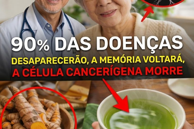 Desvende os Segredos dos Centenários Japoneses: Coma Assim Todos os Dias e Aumente Suas Chances de Chegar aos 100