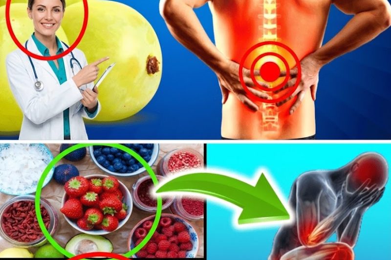 10 Alimentos Anti-inflamatórios que Ajudam a Reduzir a Inflamação Rapidamente