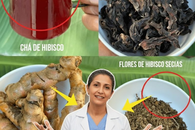 O Elixir Dourado: Três Plantas Ancestrais Para Recuperar Sua Saúde Após os 50