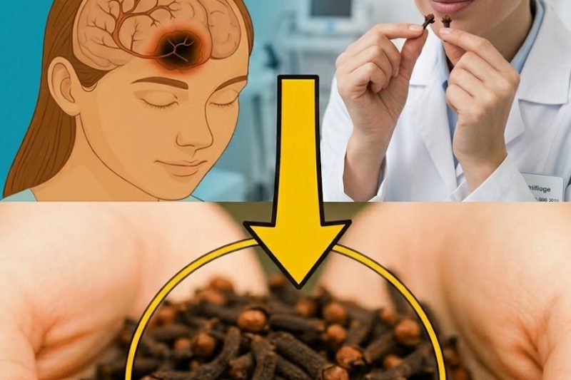 O Que Acontece Quando Você Come 2 Cravos-da-Índia por Dia Durante 7 Dias (Não É o Que Você Imagina)
