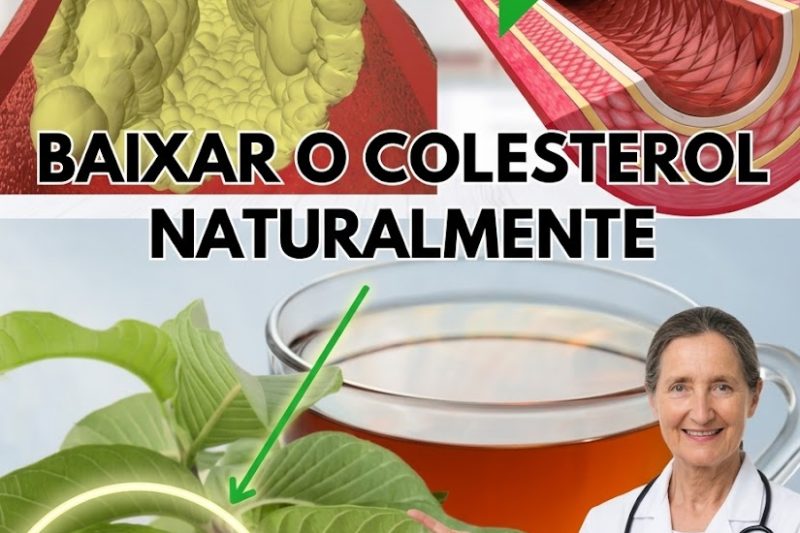 Chá de Folha de Goiaba: O Remédio Natural para uma Saúde Vibrante