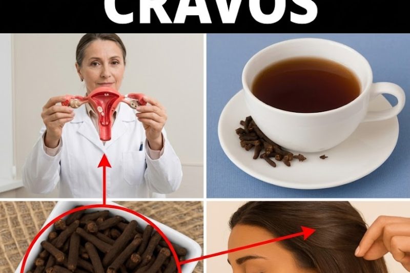 10 Benefícios e Usos Surpreendentes do Cravo-da-Índia