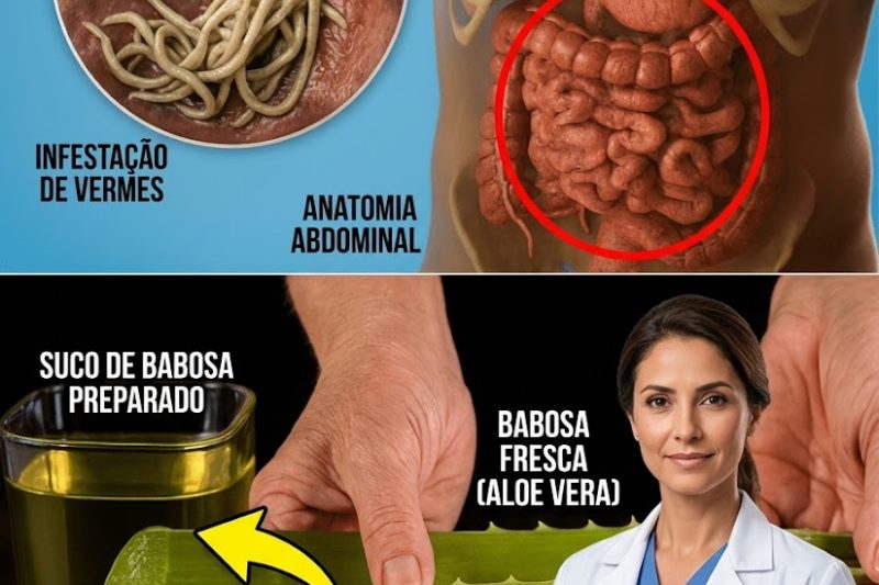 O Elixir Milagroso de Aloe Vera: O Curador Supremo da Natureza