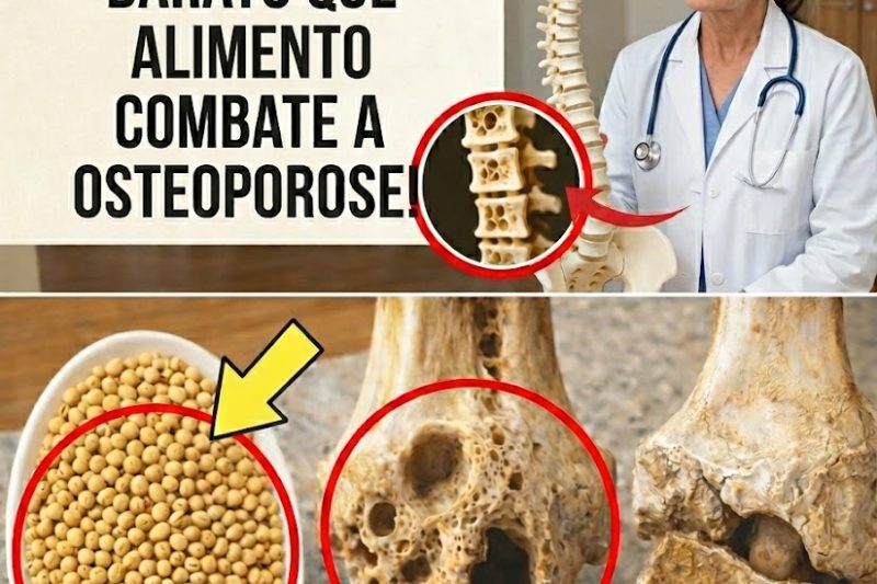 O Superalimento Mais Barato Que Muitos Idosos Ignoram — E Que Pode Transformar a Saúde dos Ossos Após os 60