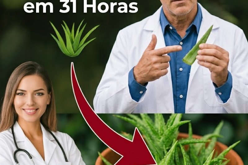 A Folha Esquecida que Pode Fortalecer o Corpo: O Tesouro Natural que Muitos Ignoram