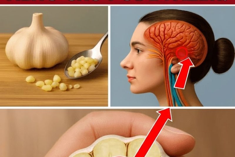 Alho para Dormir Melhor: 5 Dicas Naturais Inspiradas no Médico Mais Idoso do Japão