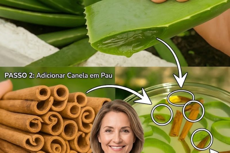 Remédio Natural de Aloe Vera e Canela: Um Apoio Simples para a Saúde
