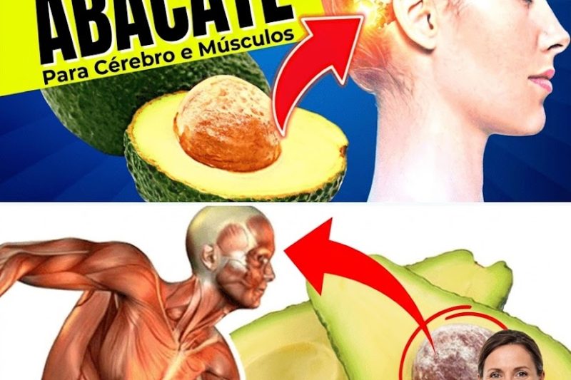 12 Benefícios Surpreendentes do Abacate Depois dos 50 Anos