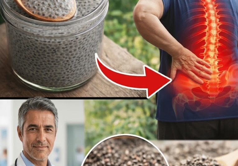 Como um Hábito Simples com Sementes de Chia Pode Ajudar no Conforto e na Mobilidade das Costas