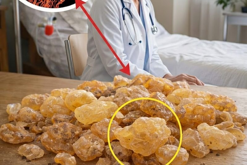 Olíbano (Frankincense): Será Que Esta Resina Milenar Pode Apoiar a Saúde Celular e o Bem-Estar?