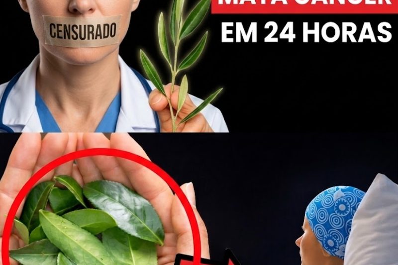 O Potencial Surpreendente da Graviola: O Que a Ciência Diz Sobre Esta Fruta Tropical e a Saúde das Células