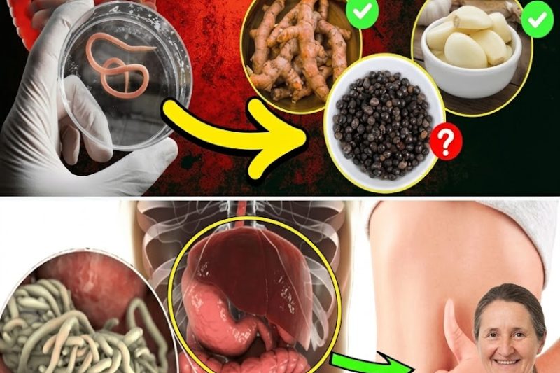 Como Eliminar Parasitas Intestinais Naturalmente (Receita com Cravo-da-Índia e Sementes de Linhaça)