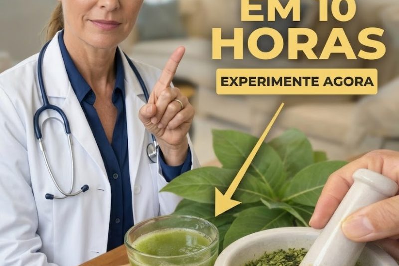 Folhas de Moringa: O Superalimento Rico em Nutrientes que Pode Apoiar Sua Saúde de Forma Natural