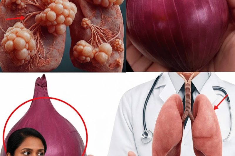 Desvende o Poder Oculto da Cebola para Limpar os Pulmões: O Remédio Natural que Está Transformando a Respiração