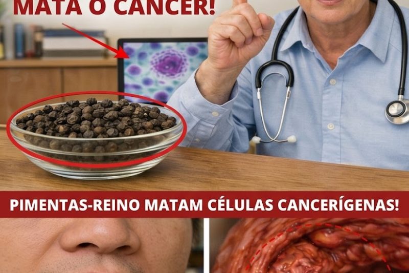 10 Alimentos do Dia a Dia que Podem Apoiar as Defesas Naturais do Seu Corpo com o Envelhecimento
