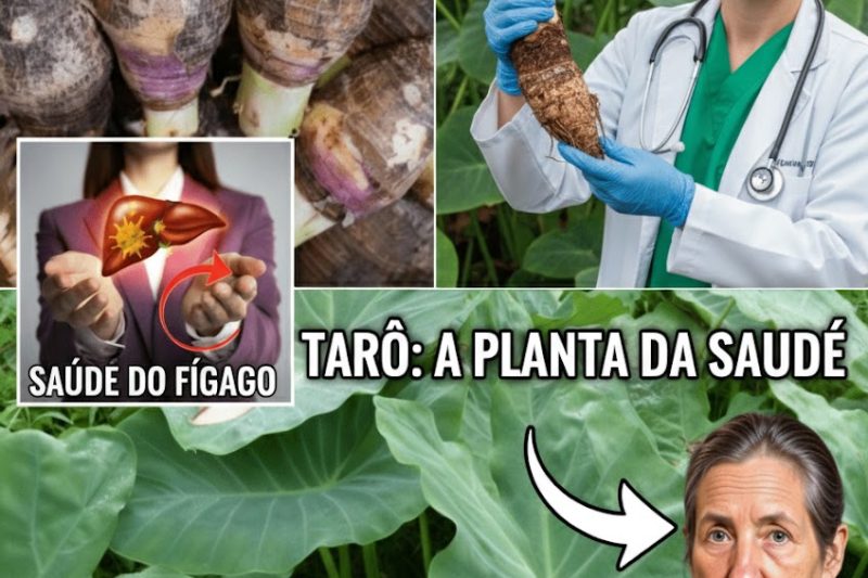 O Rei Esquecido dos Carboidratos: Por Que a Raiz de Taro é o Superalimento que Cura o Intestino e Protege o Coração (e Está Faltando na Sua Dieta)