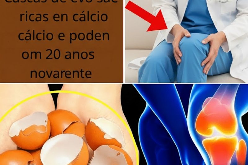 O Ouro de Cálcio Escondido no Seu Lixo: Como Cascas de Ovo Ajudaram a Recuperar os Joelhos da Minha Mãe (E Podem Ajudar os Seus Também)