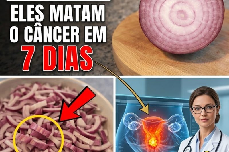 Os Piores Inimigos do Câncer: 10 Alimentos Que Enfraquecem Tumores e Despertam as Defesas do Seu Corpo