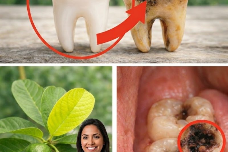 Como Clarear o Seu Sorriso Naturalmente com Folhas de Goiaba: Um Remédio Caseiro Simples