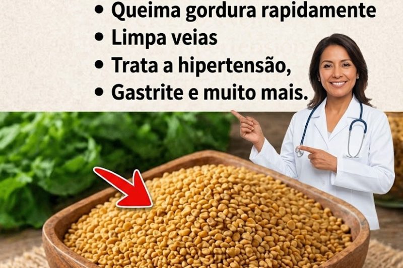 A “Semente Milagrosa” de que Todos Falam: Os Benefícios do Feno-Grego Comprovados pela Ciência