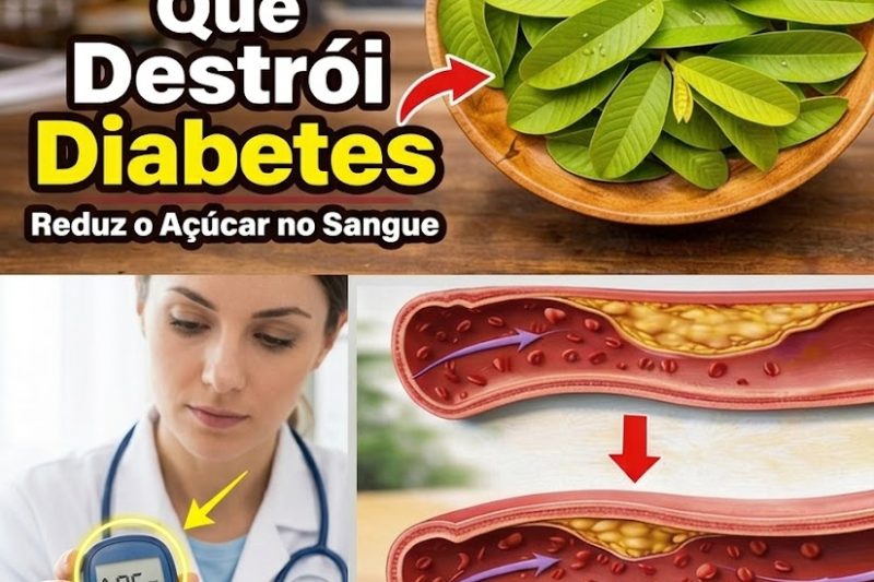 1 Folha que Ajuda a Controlar o Açúcar, Reduz Gordura e Apoia as Artérias RAPIDAMENTE – A Ciência Surpreendente por Trás do Poder Oculto da Natureza