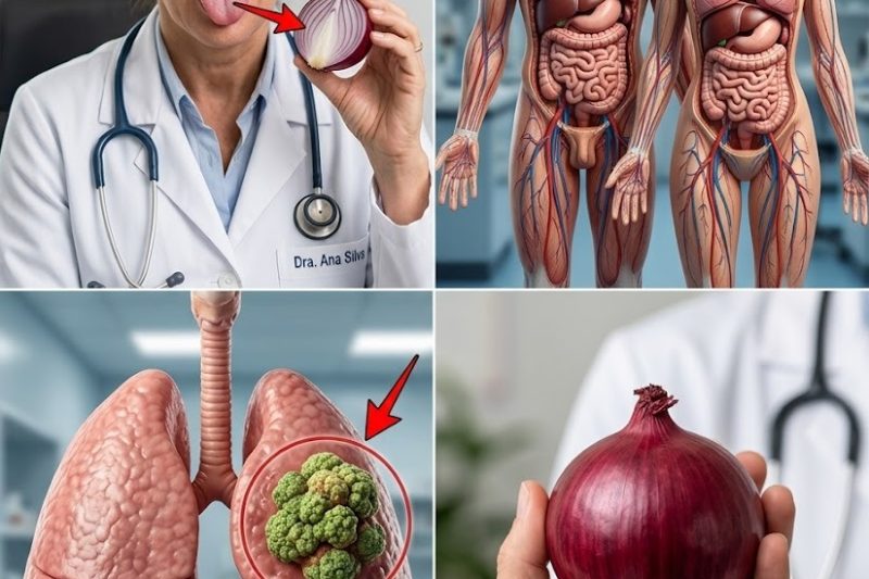 Cebola: o ingrediente simples do dia a dia que pode transformar seu bem-estar de forma surpreendente