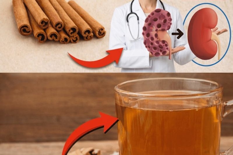 Estas 5 Especiarias Podem Ajudar a Reduzir a Creatinina Naturalmente
