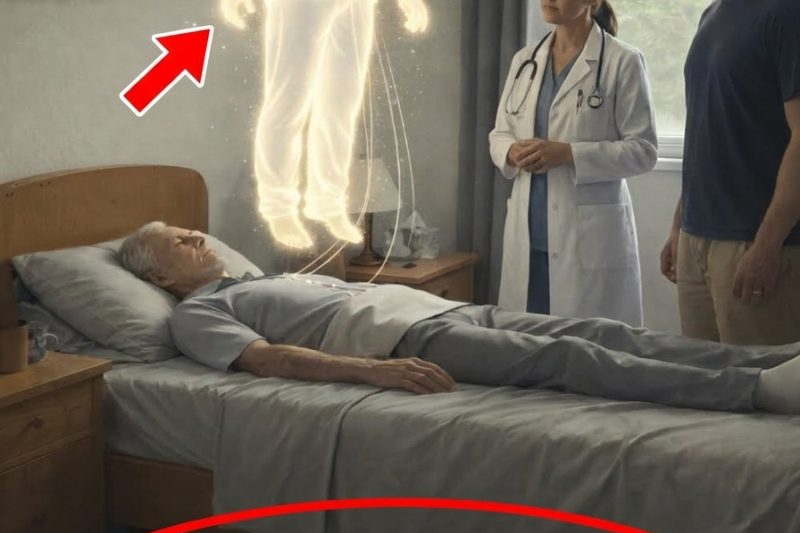 Nunca Jogue Fora Estas 4 Coisas Após o Funeral de um Ente Querido – Por Que Elas São Essenciais para Sua Cura