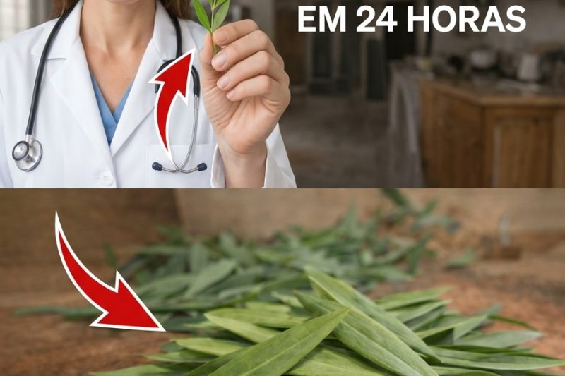 A Folha de Que Todos Estão Falando: Explorando as Folhas de Graviola e Seu Potencial para o Bem-Estar