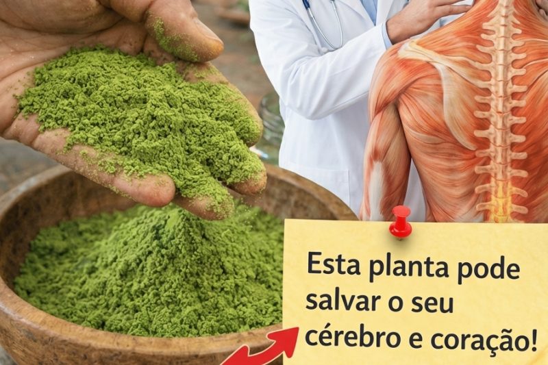 Você Já Ignorou Essa “Erva Daninha” Comum Que Pode Apoiar a Saúde do Seu Cérebro e Coração?