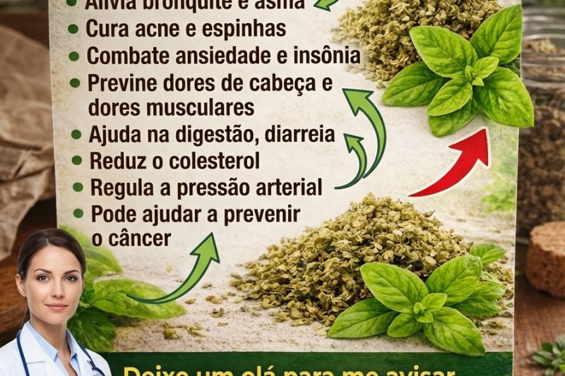 Você Sabia Que o Orégano Está Entre as Ervas Mais Ricas em Antioxidantes Para o Seu Dia a Dia?