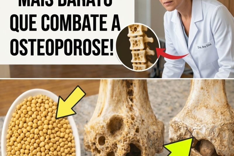 O Superalimento Mais Barato que Muitos Idosos Ignoram — E que Pode Transformar a Saúde Óssea Após os 60