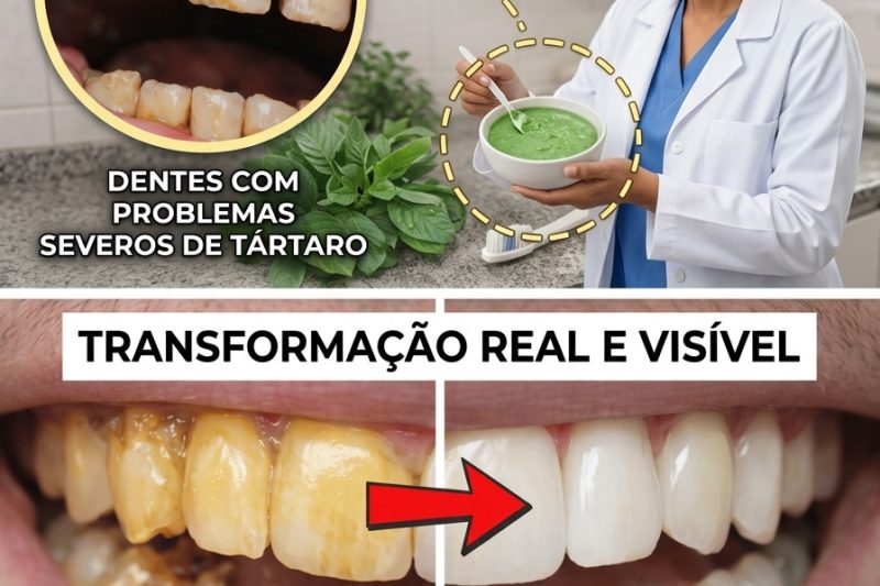 3 Maneiras Naturais e Econômicas de Cuidar da Saúde Bucal com Folhas de Goiaba