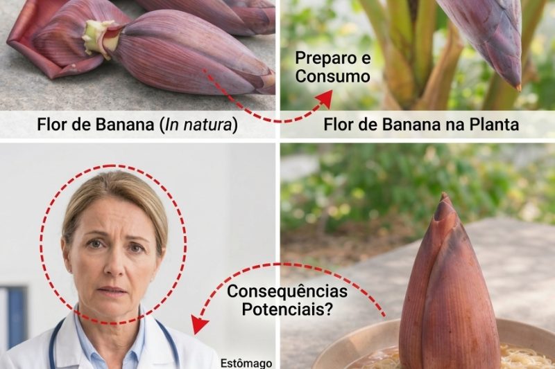 7 Benefícios Surpreendentes da Flor de Bananeira que Você Precisa Conhecer