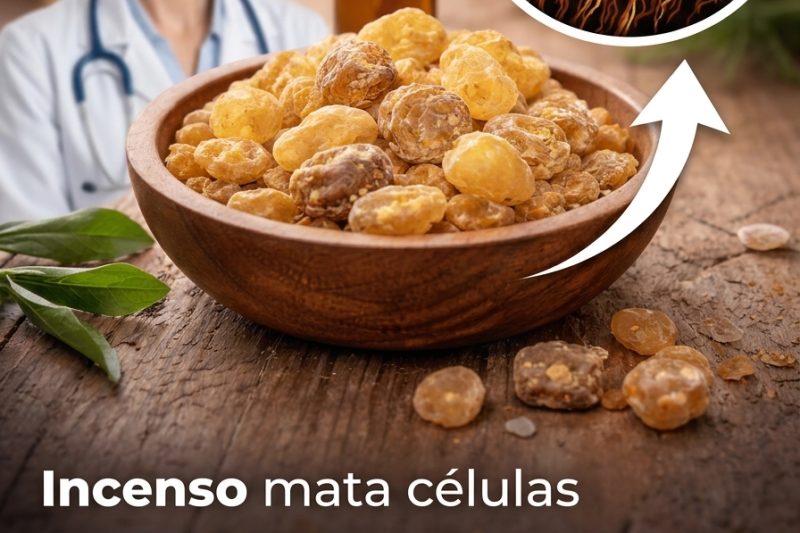 O Olíbano Pode Ser a Resina Ancestral que os Buscadores de Bem-Estar Moderno Estão Redescobrindo?
