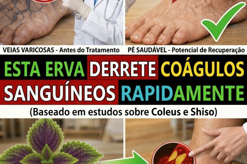 6 Ervas Poderosas que Podem Ajudar a Melhorar a Circulação e Reduzir Naturalmente o Risco de Coágulos