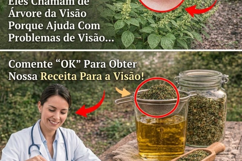 Se o seu Manjericão floresceu, não deite fora: O Segredo para a Culinária e o Bem-Estar